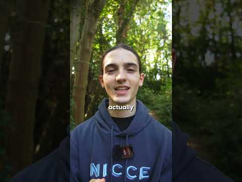 Image YouTube